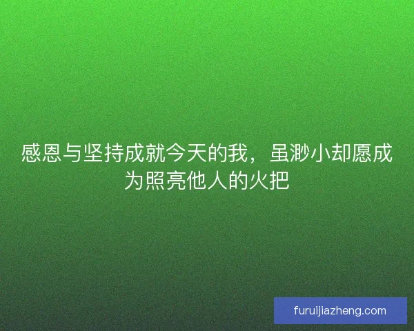感恩与坚持成就今天的我，虽渺小却愿成为照亮他人的火把