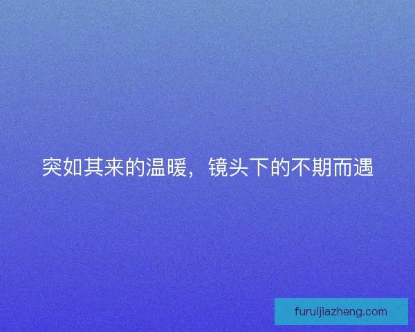 突如其来的温暖，镜头下的不期而遇