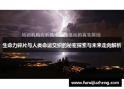 生命力碎片与人类命运交织的秘密探索与未来走向解析