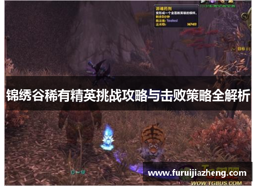 锦绣谷稀有精英挑战攻略与击败策略全解析