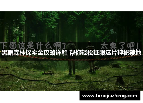 黑鞘森林探索全攻略详解 帮你轻松征服这片神秘禁地
