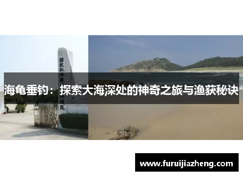 海龟垂钓:探索大海深处的神奇之旅与渔获秘诀