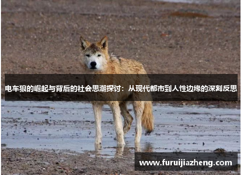 电车狼的崛起与背后的社会思潮探讨:从现代都市到人性边缘的深刻反思